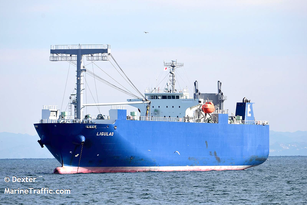 BON VOYAGE TO MV LIGULAO - RORO (Sign On 08/05/2023)