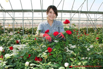 ĐƠN HÀNG TRỒNG HOA NHÀ KINH   -   THI TUYỂN 30/04/2023